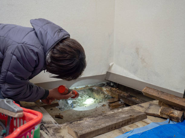 Best Mold Remediation for Vacation Homes  in Culver, OR