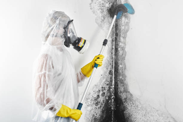 Best Airborne Mold Testing  in Culver, OR