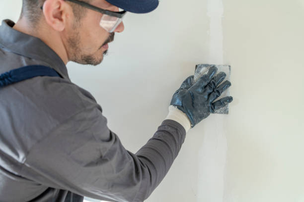 Best Black Mold Removal  in Culver, OR
