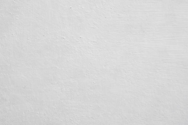 Best Commercial Mold Inspection  in Culver, OR