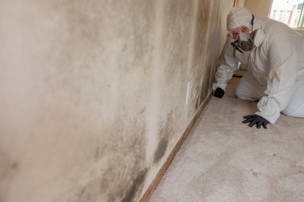  Culver, OR Mold Removal Pros